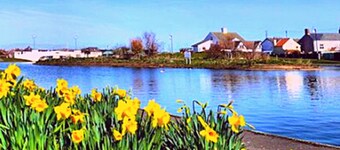 Romantic Lakeside Cottage ❤️ Just 2 mins to Beach ★ Log Burner ★ Pet Friendly