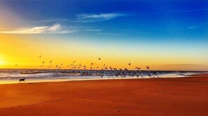 Perto da praia 