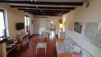 Smart TV, fireplace, books