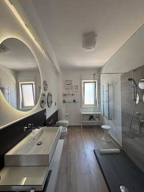 Shower, hair dryer, bidet, towels