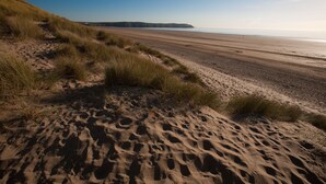 Ein Strand mit Dünen und freiem Blick auf das Meer.