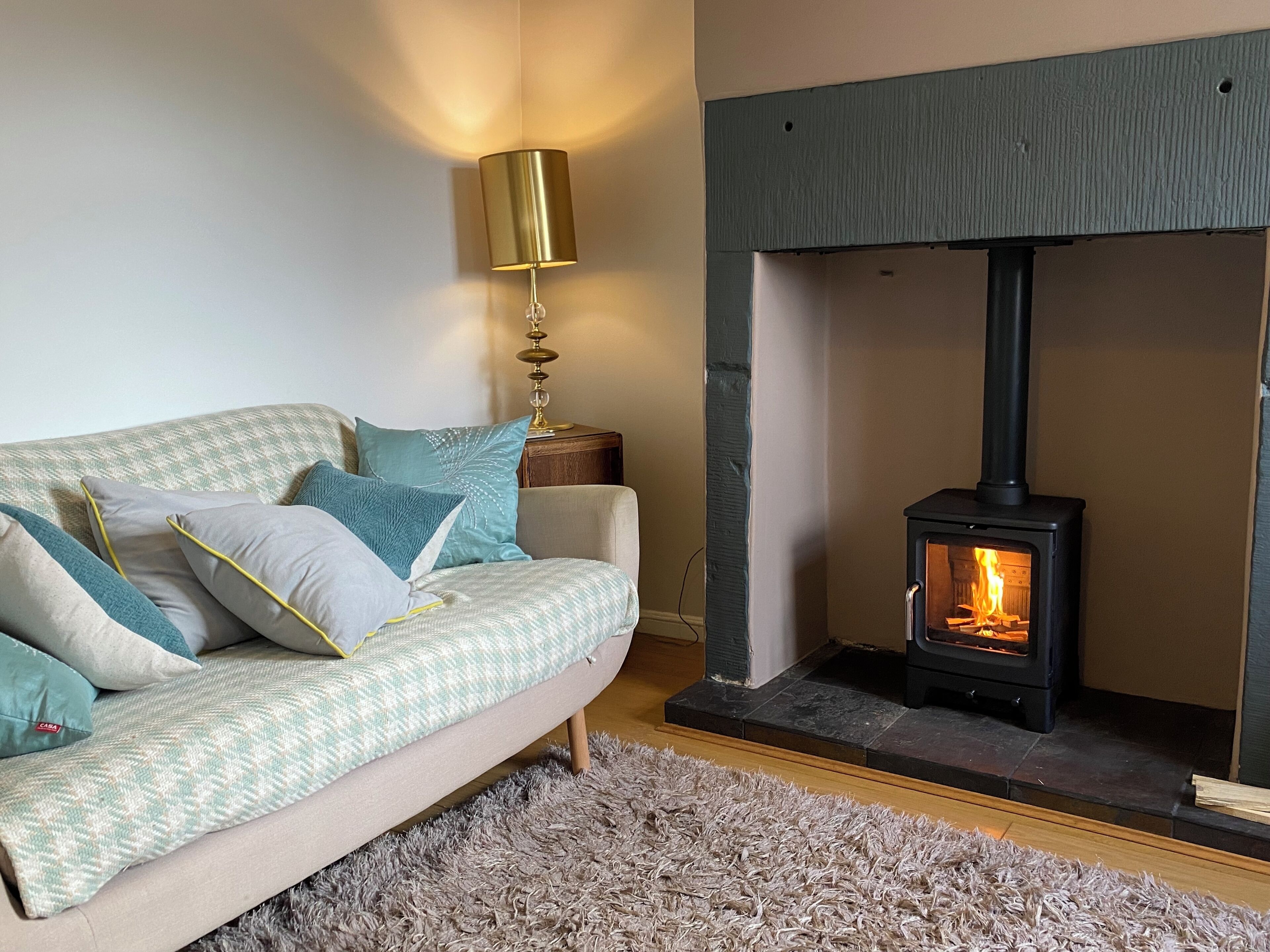 Smart TV, fireplace, DVD player, books