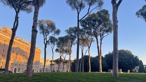 Un'area verdeggiante con alberi alti e un muro in mattoni sullo sfondo.
