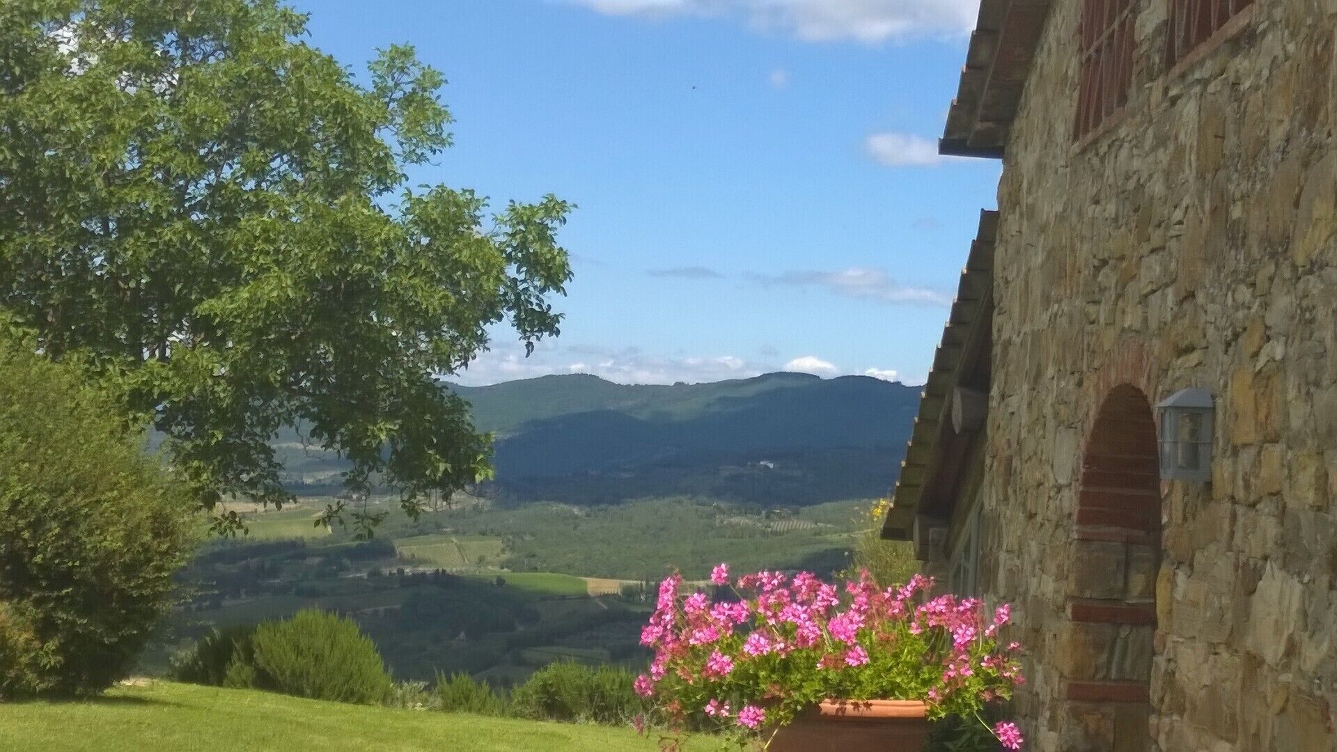 Área da propriedade