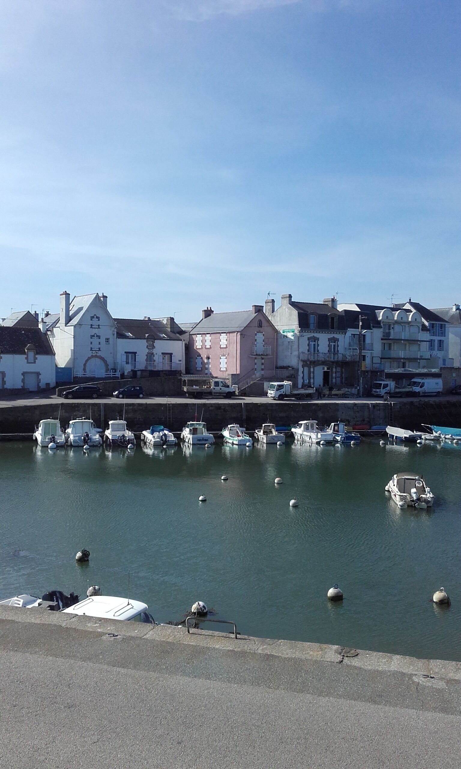 A harbor with boats docked and buildings in the background.