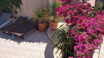 Terassi/patio