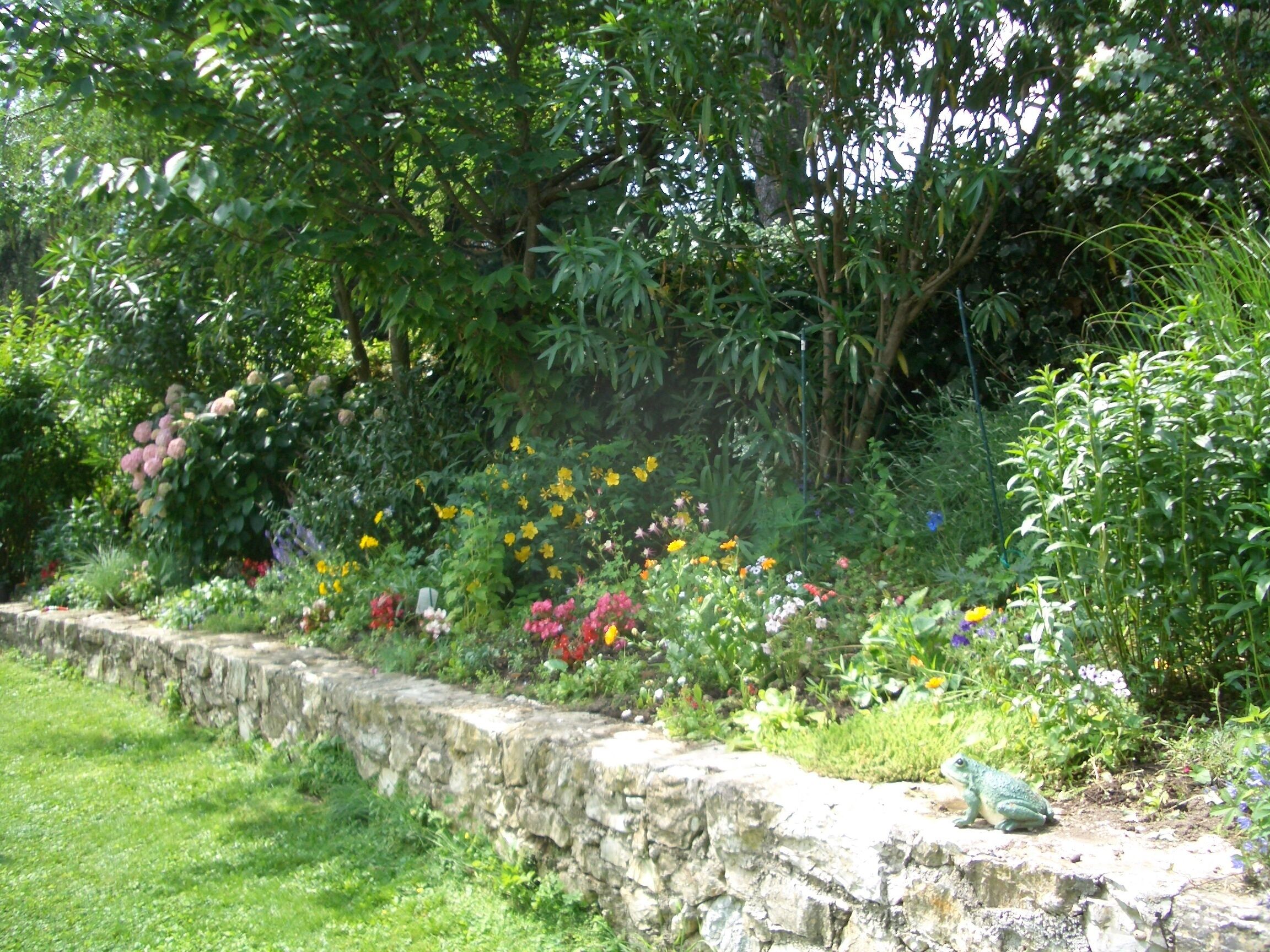 Un jardin avec un mur de pierre, diverses plantes à fleurs et une grenouille sur le mur.