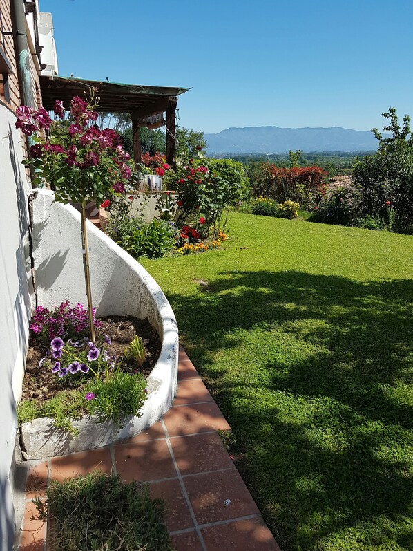 Property grounds - Lovely villa with panoramic pool & gardens between Lucca & Pisa (Lucca)
