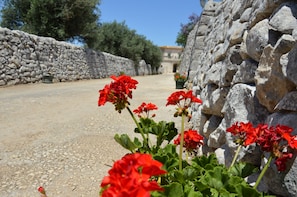 A stone wall with red flowers in the foreground.