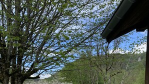 A pathway leading to a building with a view of a green landscape and trees.