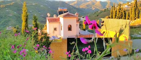 Àrea exterior de l'allotjament