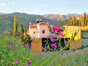 Terrain de l’hébergement 