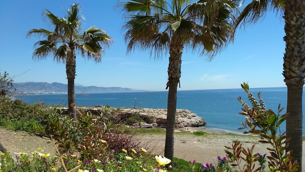 A coastal landscape with palm trees, a rocky outcrop, and a view of the sea. - Villa Las Encinas on the Costa del Sol.        (Torrox)
