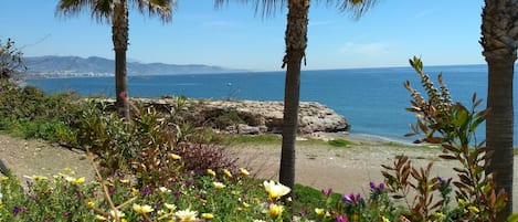 Sun-loungers, beach towels
