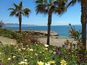 Un paisaje costero con palmeras, un afloramiento rocoso y vista al mar.