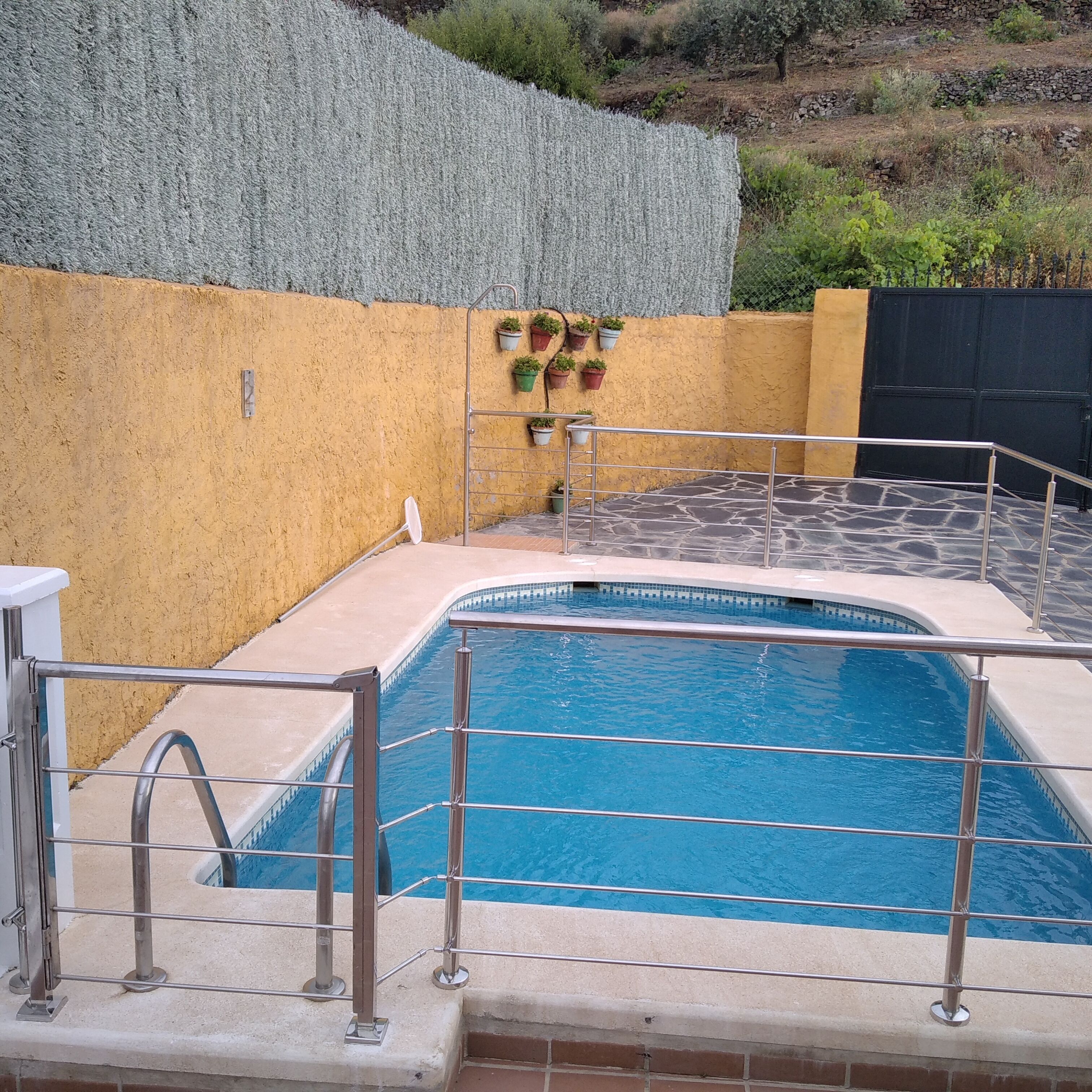 A swimming pool with a stone deck, metal railings, and potted plants against a textured wall.