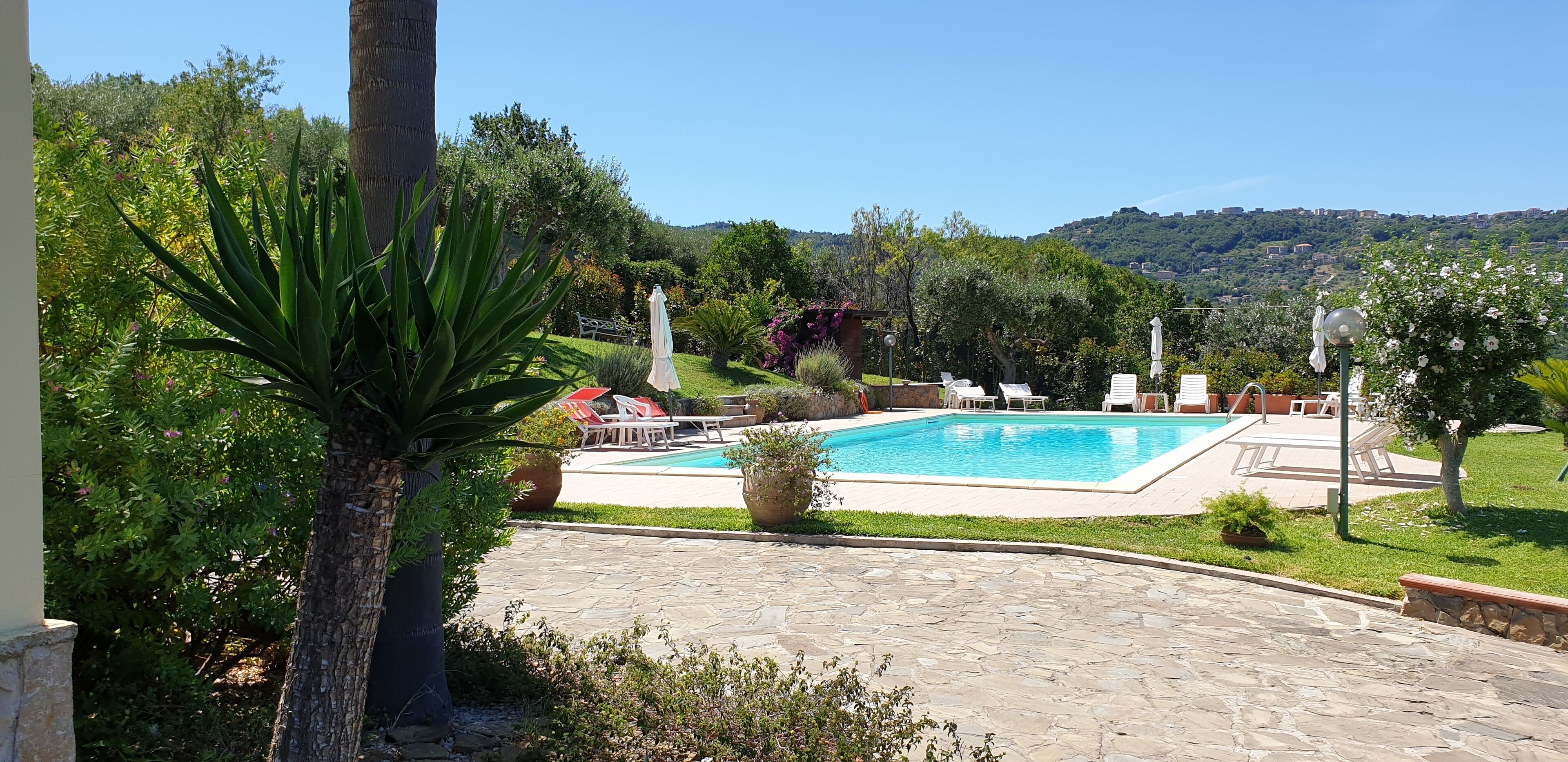 Una piscina con solárium de piedra, rodeada de vegetación y vistas a una colina.