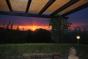 Property grounds - Wonderful villa with pool in a panoramic position at the gateway to Cilento. (Ogliastro Cilento)