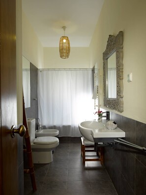 Combined shower/bathtub, hair dryer