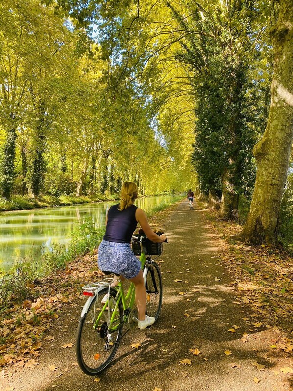 Un sendero bordeado de árboles y una masa de agua, con un ciclista y otra persona a lo lejos.