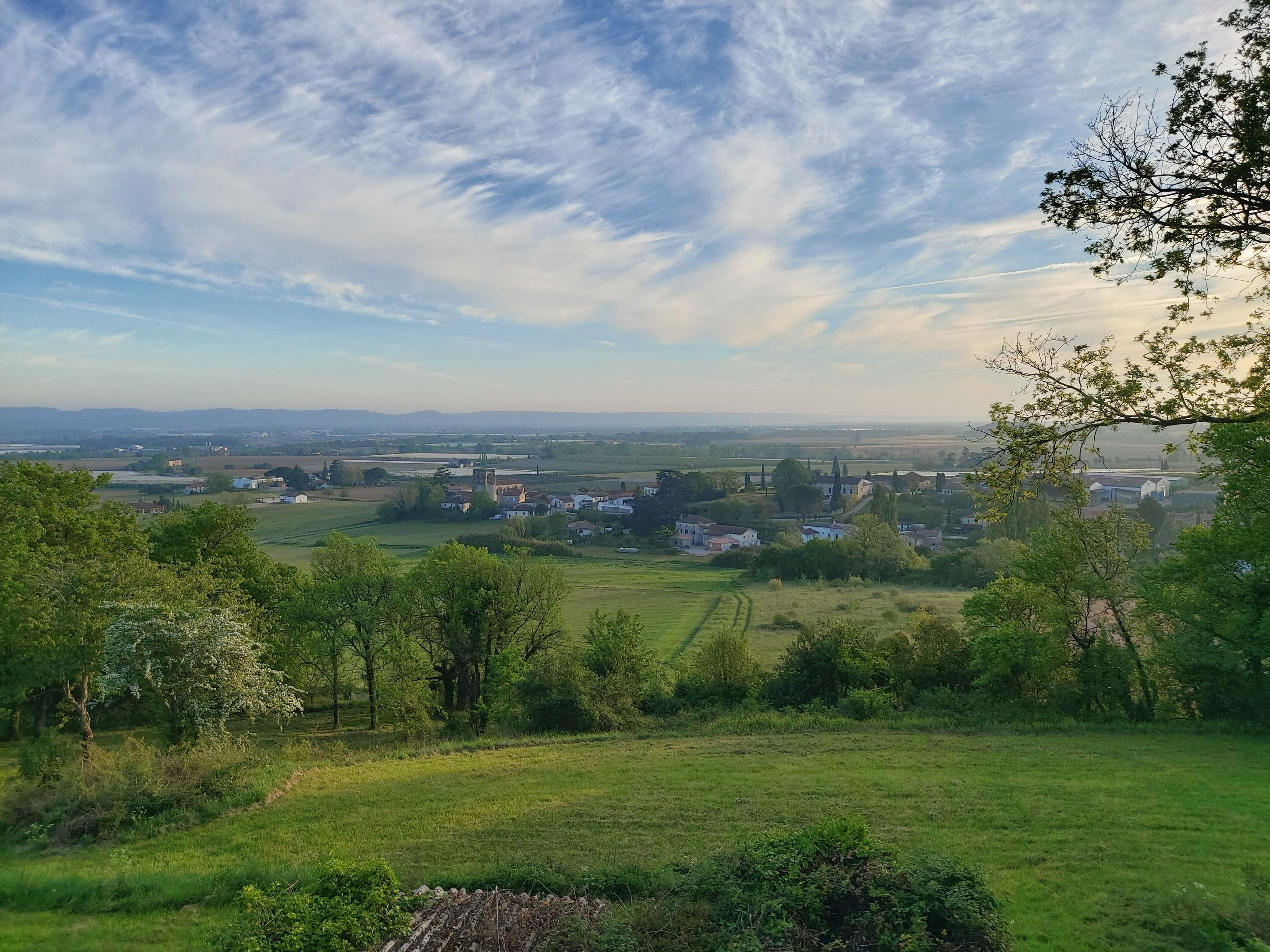 Een landelijk landschap met velden, bomen en een afgelegen dorp.