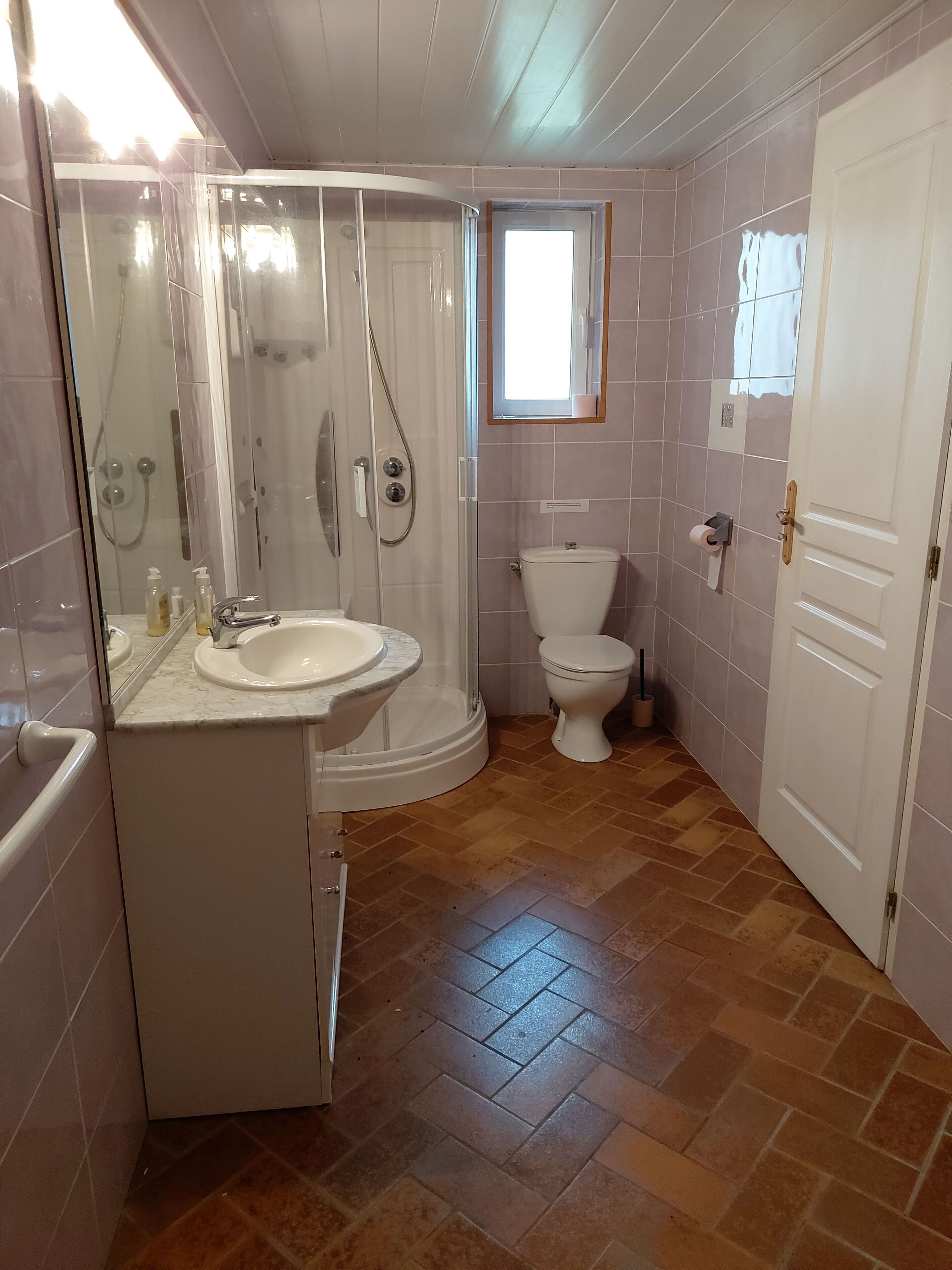 Une salle de bain avec douche, toilettes et lavabo.