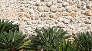 Un mur de pierre à la surface texturée.