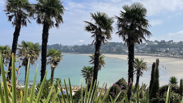 Une vue sur la côte, avec des palmiers et une plage.