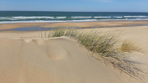 Uma praia com dunas de areia e grama em primeiro plano, que se estende até o oceano.