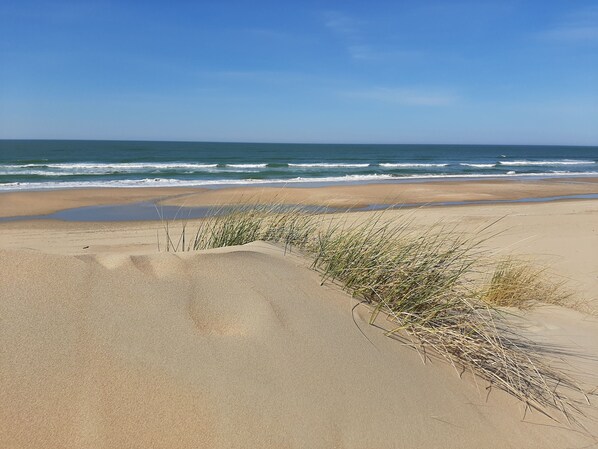 Perto da praia