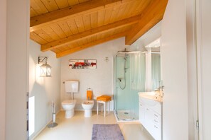 Shower, hair dryer, bidet, towels