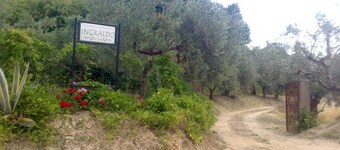 Exclusive, large house, large countryside and (tub)swimming pool