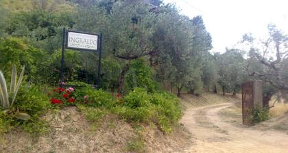 Exclusive, large house, large countryside and (tub)swimming pool