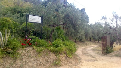 Exclusive, large house, large countryside and (tub)swimming pool