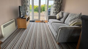 A living room with a sofa, a television, a radiator, and a view through a glass door.