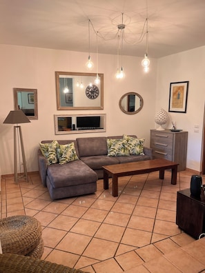 Smart TV, fireplace, DVD player, books