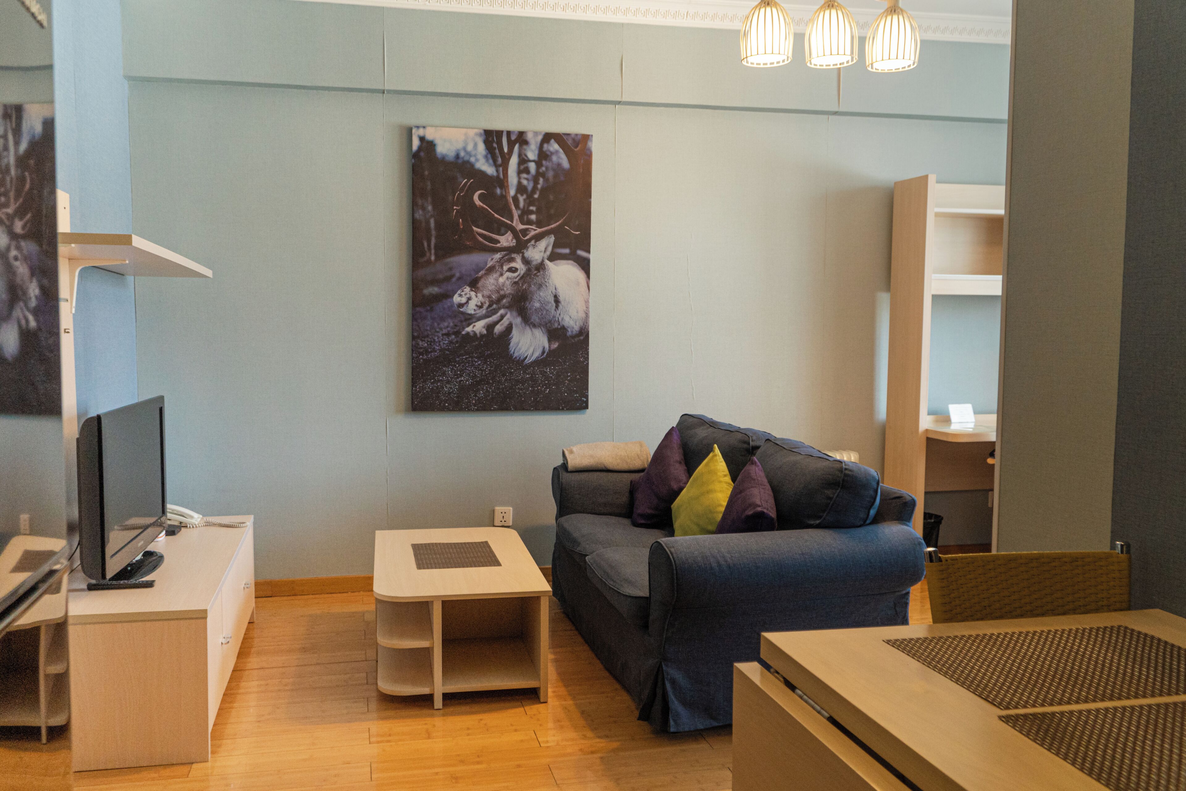 Habitación individual básica, 1 habitación | Zona de estar | Una televisión LED