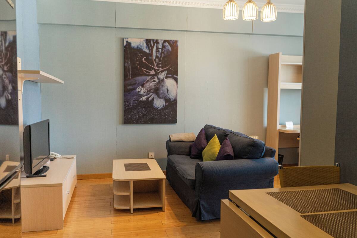 Enkeltrom – basic, 1 soverom | Oppholdsområde | LED-TV