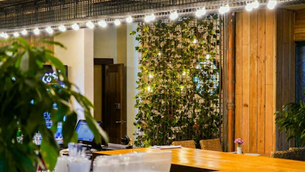 A hotel lobby with a wooden reception desk, a wall of greenery, and a modern light fixture.