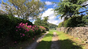 A rural pathway flanked by flowering bushes and a stone wall. - Gorgeous Lakeland cottage with delightful private garden. Free EV charging. (Stainton)