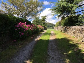 Property grounds - Gorgeous Lakeland cottage with delightful private garden. Free EV charging. (Stainton)