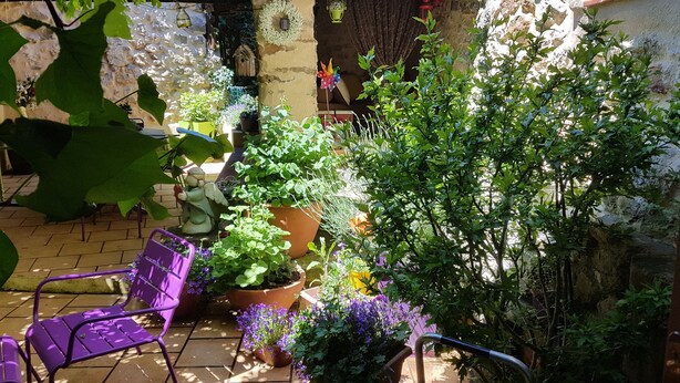 Eine Terrasse mit Blumentöpfen, einem hölzernen Vogelhaus und einem violetten Stuhl.