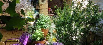 Charming gite in the heart of the cathar castles