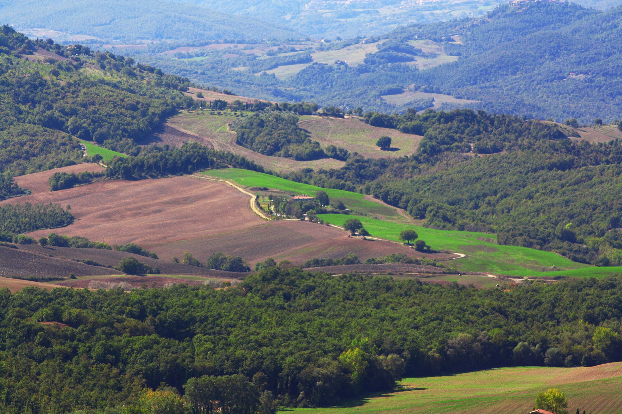 Een panoramisch uitzicht op een heuvelachtig landschap met velden, bomen en een kronkelende weg.