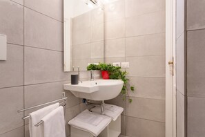 Shower, hair dryer, bidet, towels