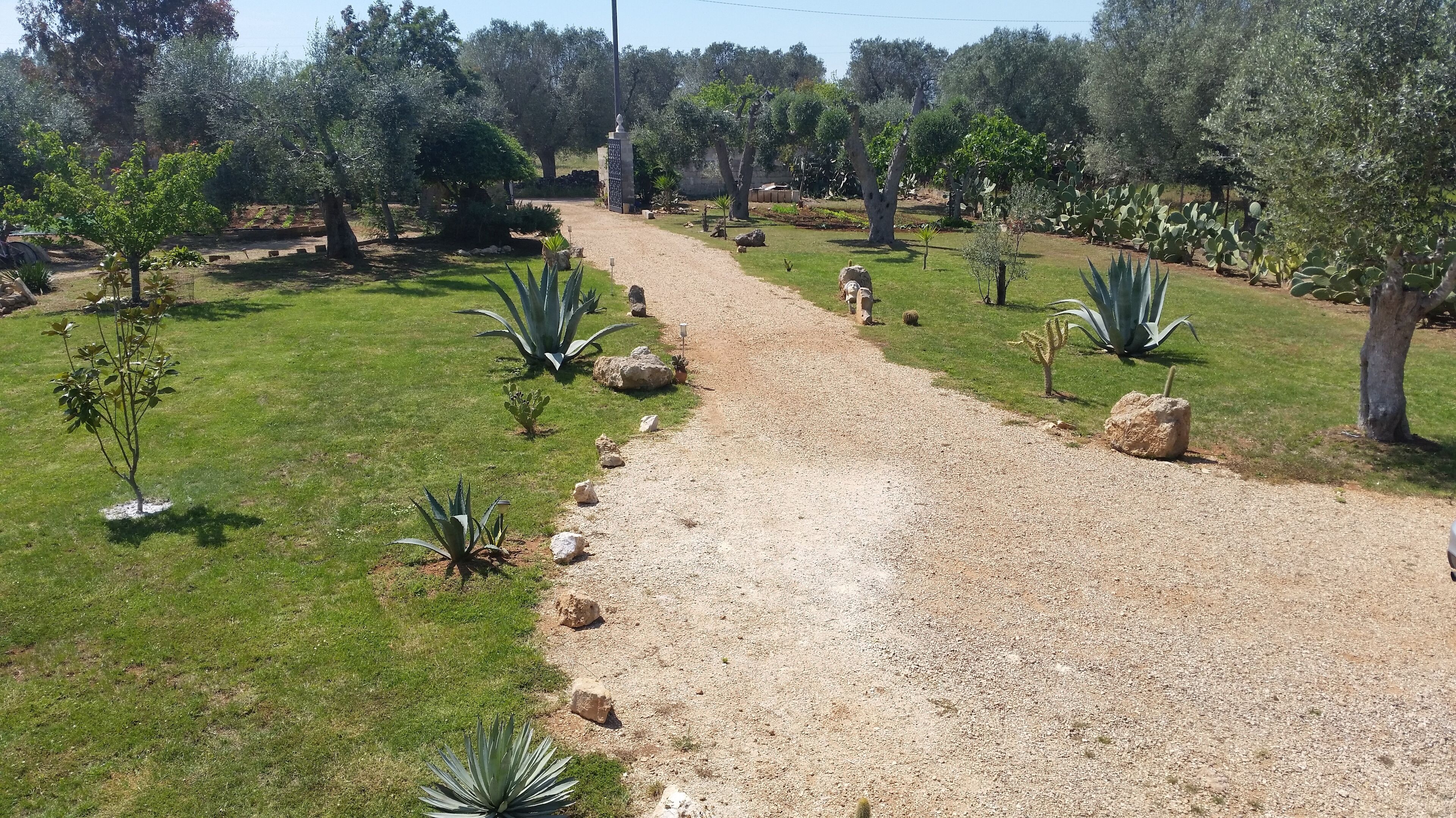 A gravel pathway in a landscaped garden with various plants and trees.