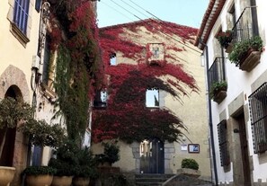Exterior detail - APARTMENT ON FIRS LINE SEA (Arenys de Mar)