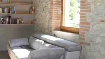 Télévision, cheminée, lecteur de DVD, livres