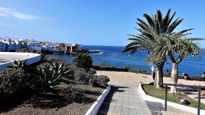 Un paseo marítimo con un camino empedrado, palmeras y vistas al mar y edificios al fondo.