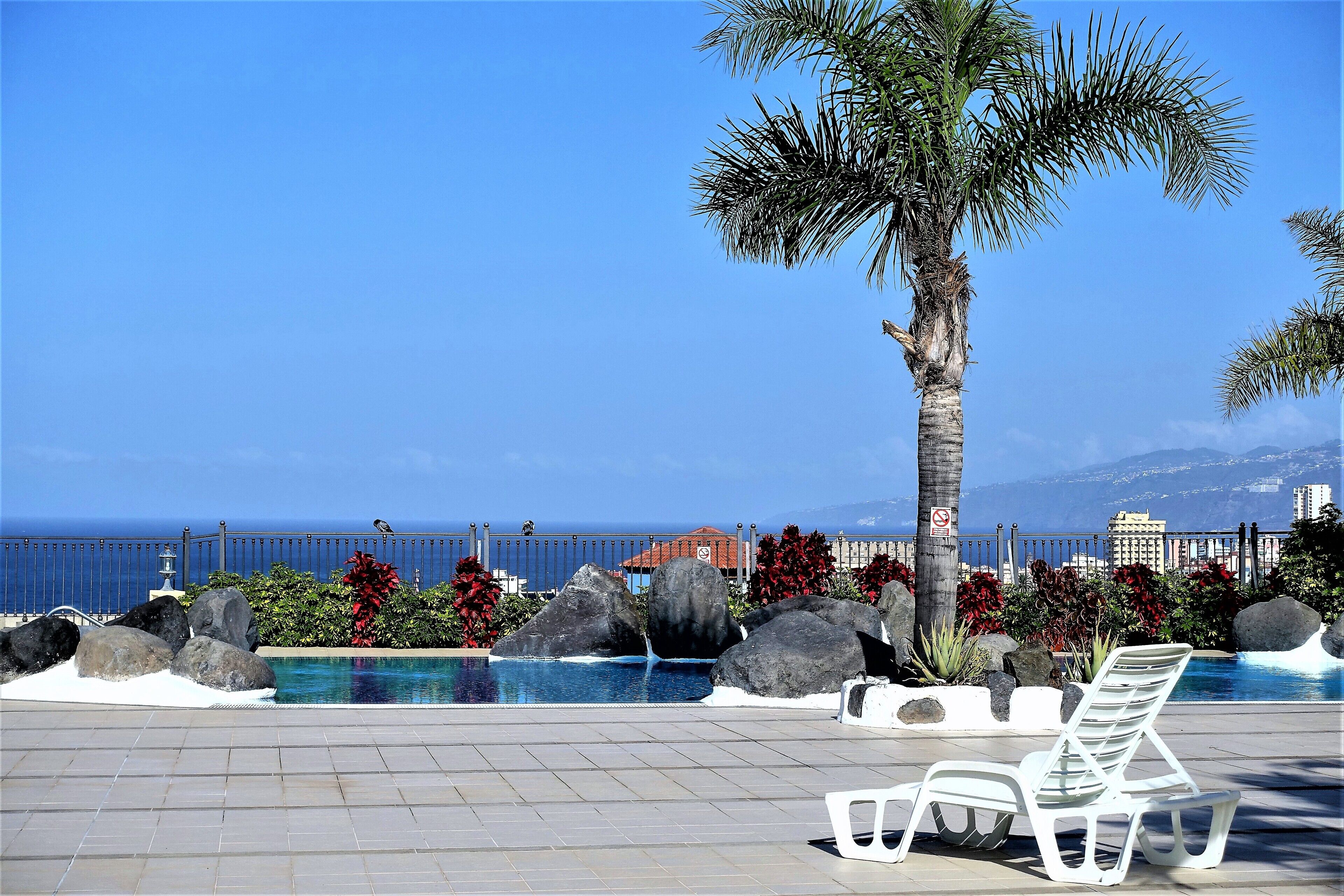 A pool area with a view of the ocean, palm trees, and a fence.